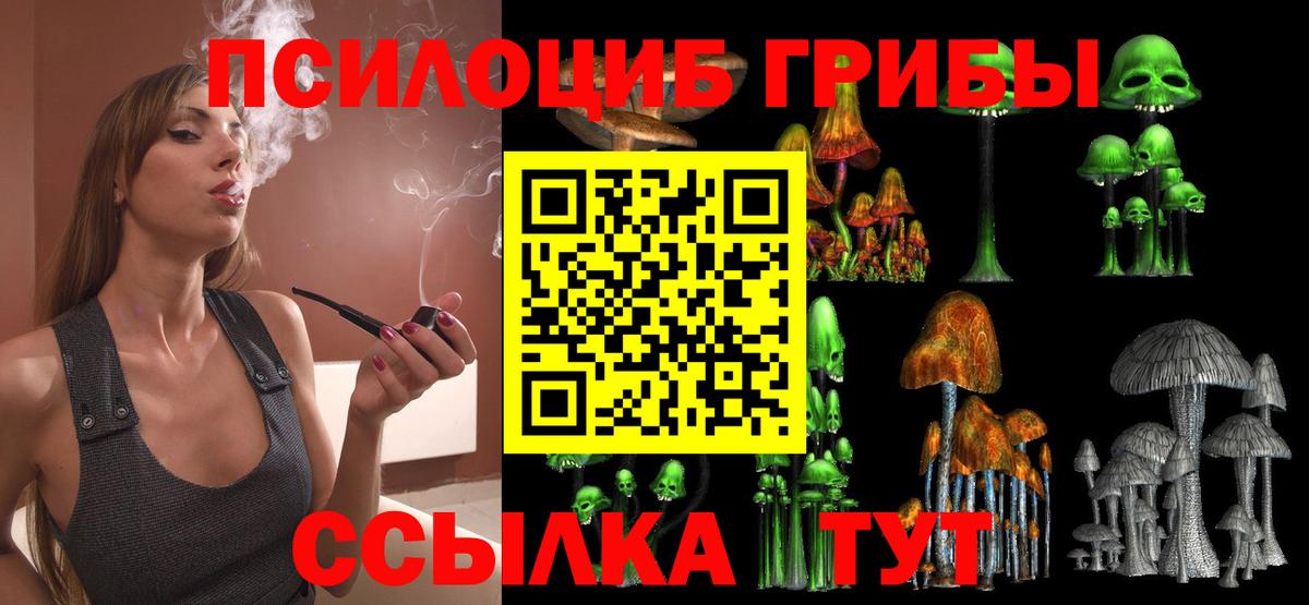 где продают   Галлюциногенные грибы Psilocybine cubensis  Вход с VPN  Советский 